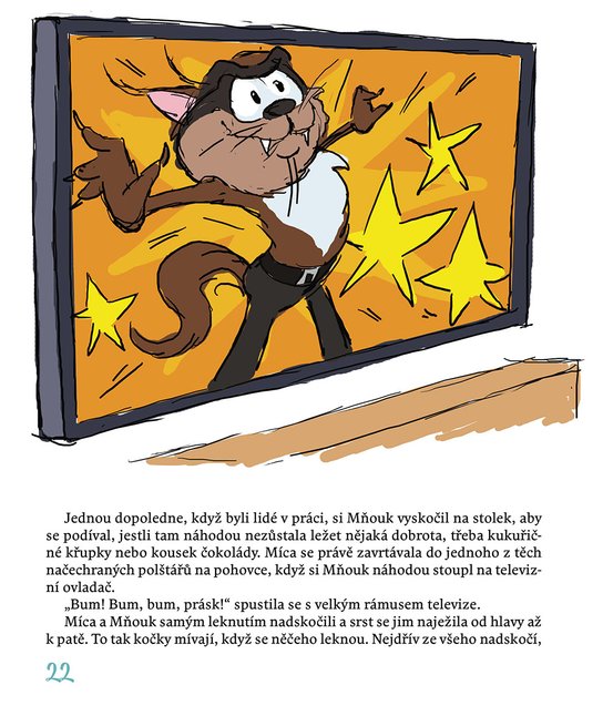 Míca a Mňouk 