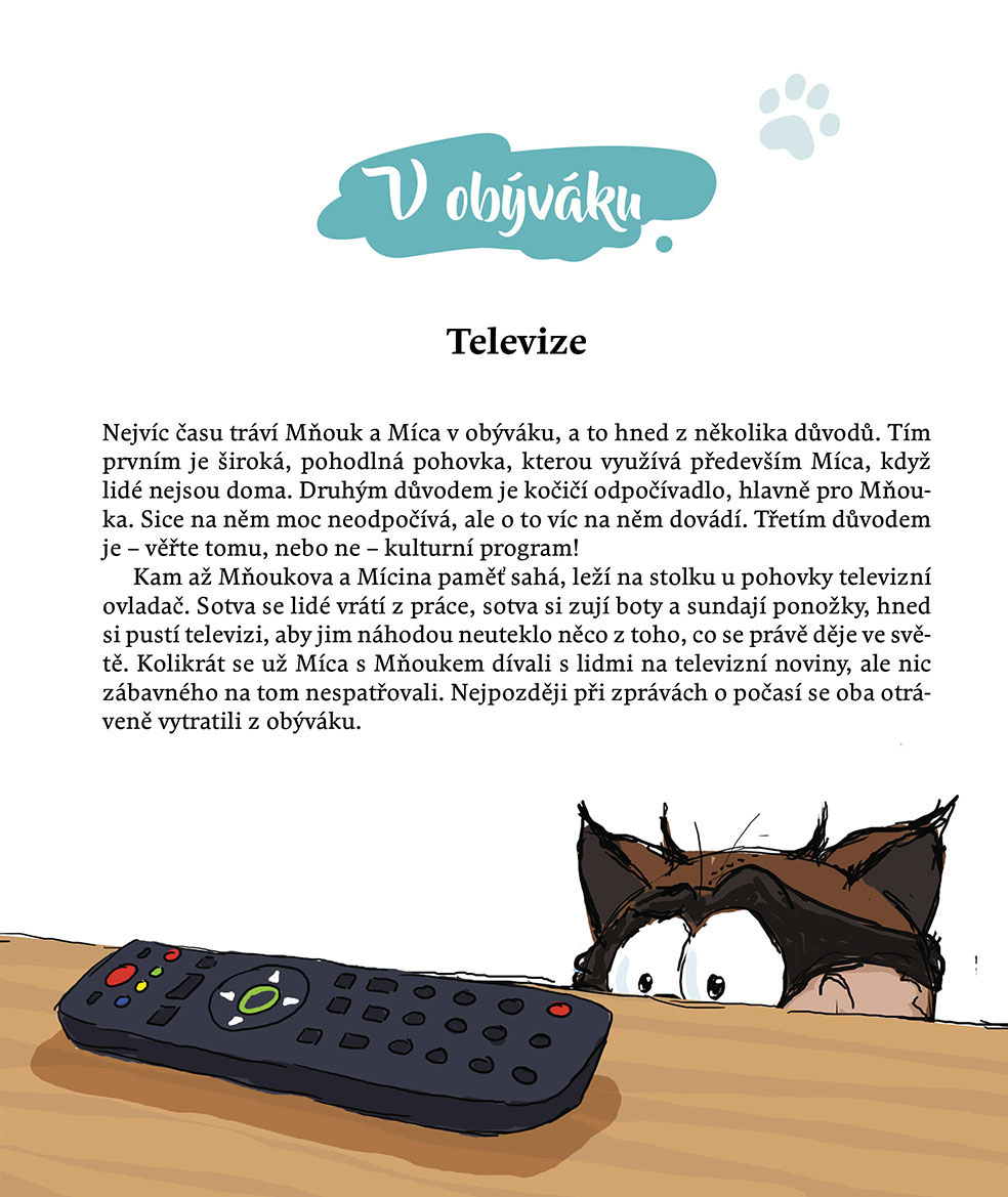 Míca a Mňouk 