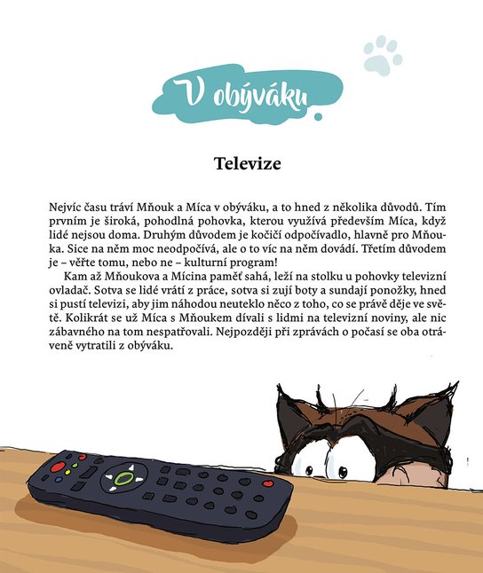Míca a Mňouk 