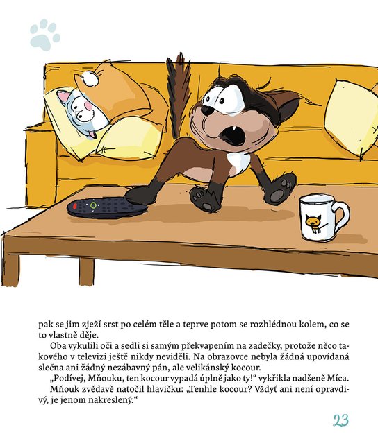 Míca a Mňouk 