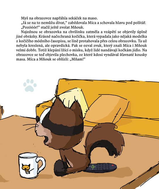 Míca a Mňouk 