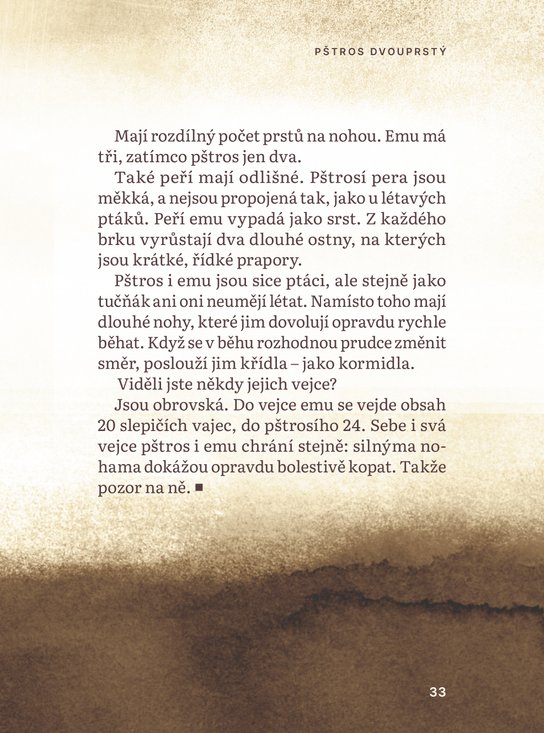 Co nám poví chameleon