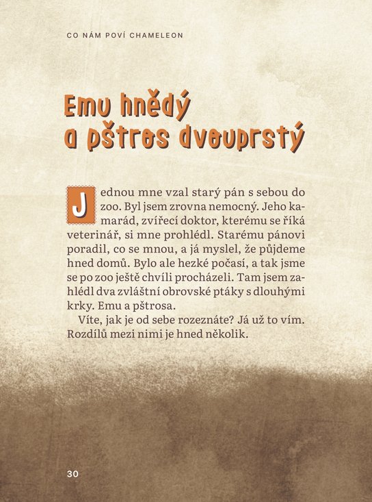 Co nám poví chameleon