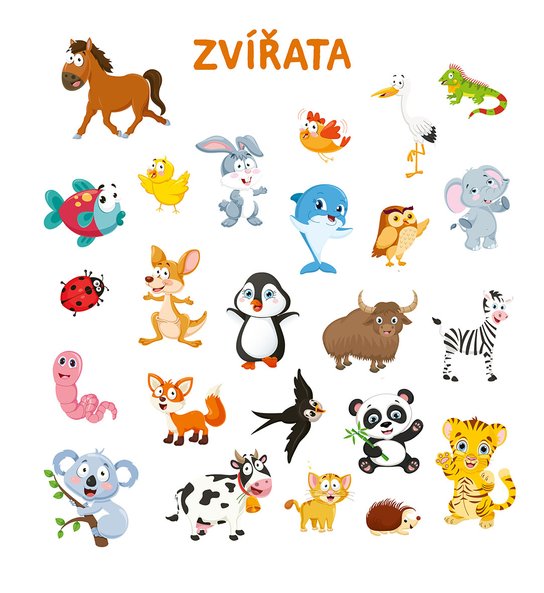 Velká obrázková kniha pro nejmenší