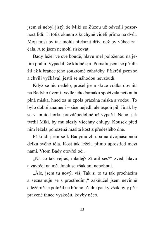 Australský ovčák jede na prázdniny