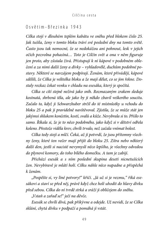 Tatér z Osvětimi: Cilčina cesta 