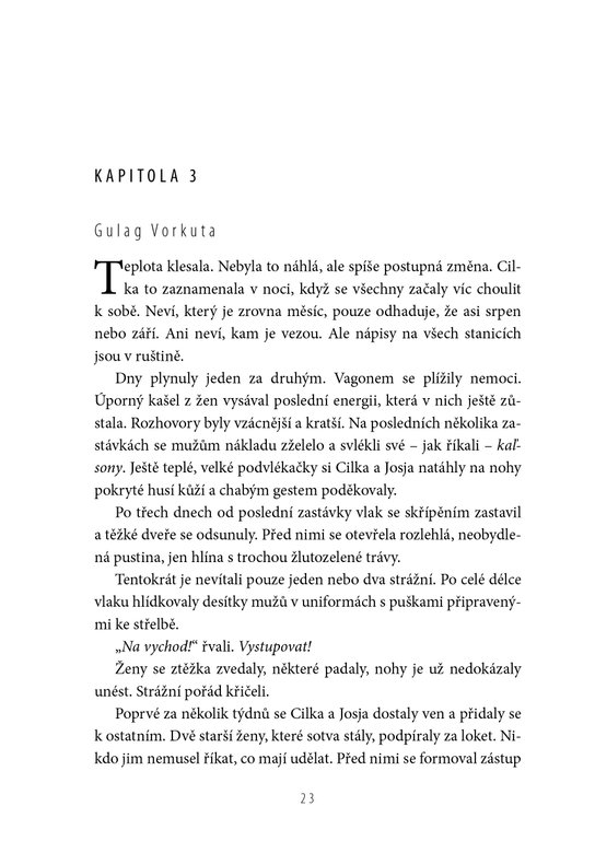 Tatér z Osvětimi: Cilčina cesta 