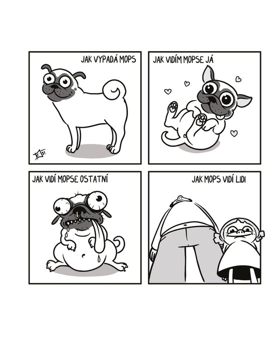 Kačka & Mops. Placatý komiks