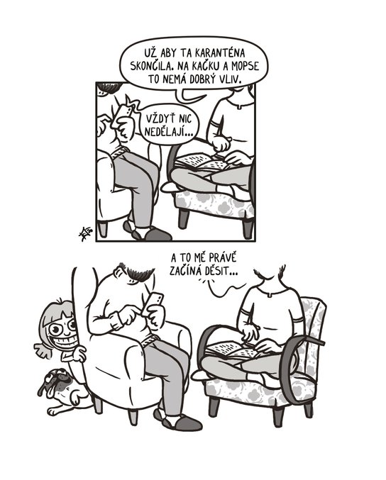 Kačka & Mops. Placatý komiks