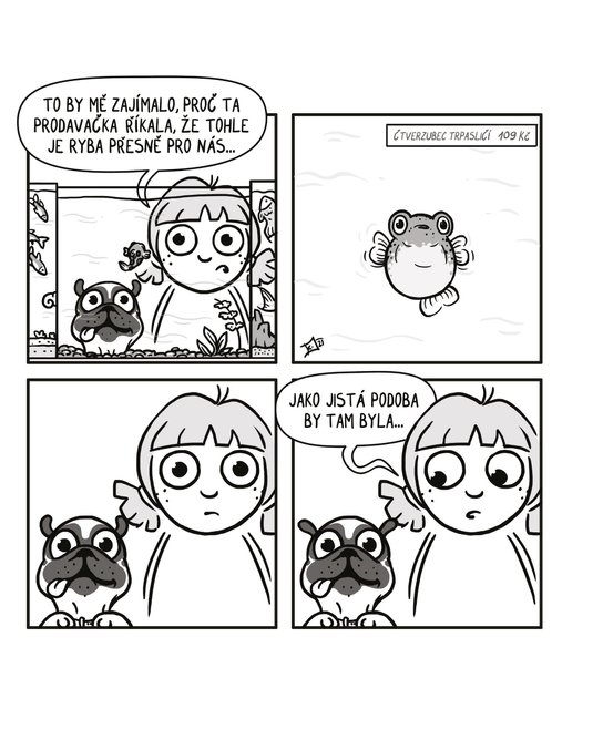 Kačka & Mops. Placatý komiks