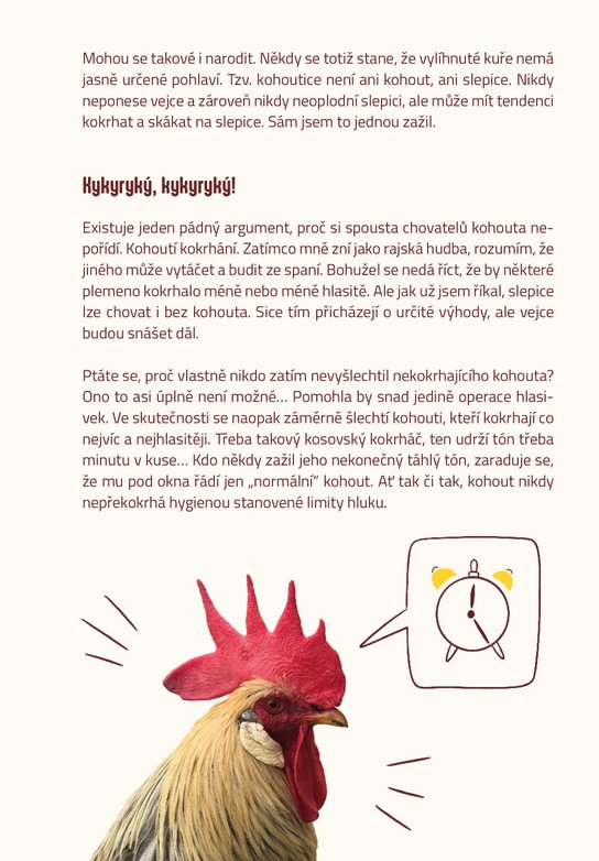 Slepice do města i vesnice