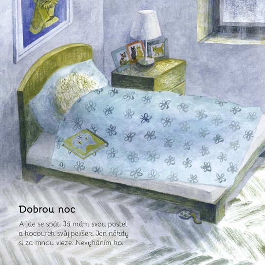 Kocourkův den