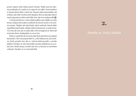 Amy's World 