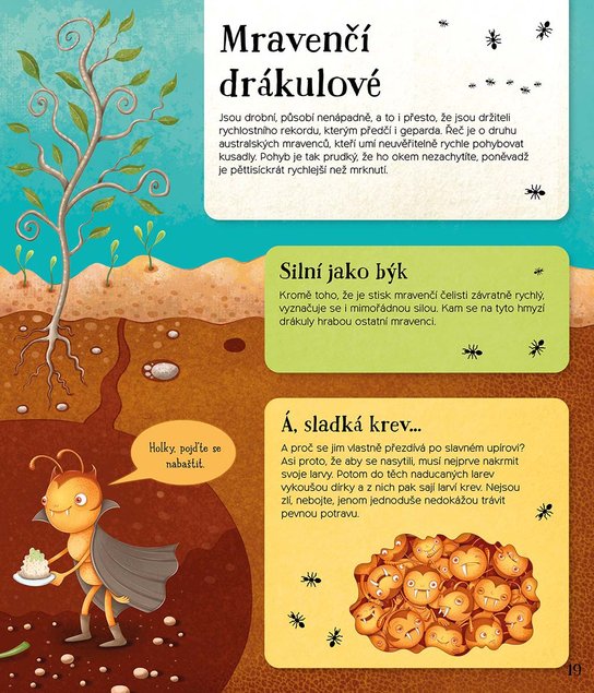 Svět mravenců
