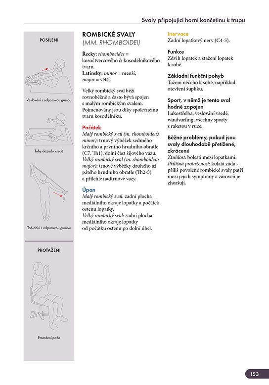 Atlas svalů - anatomie, 2. aktualizované vydání