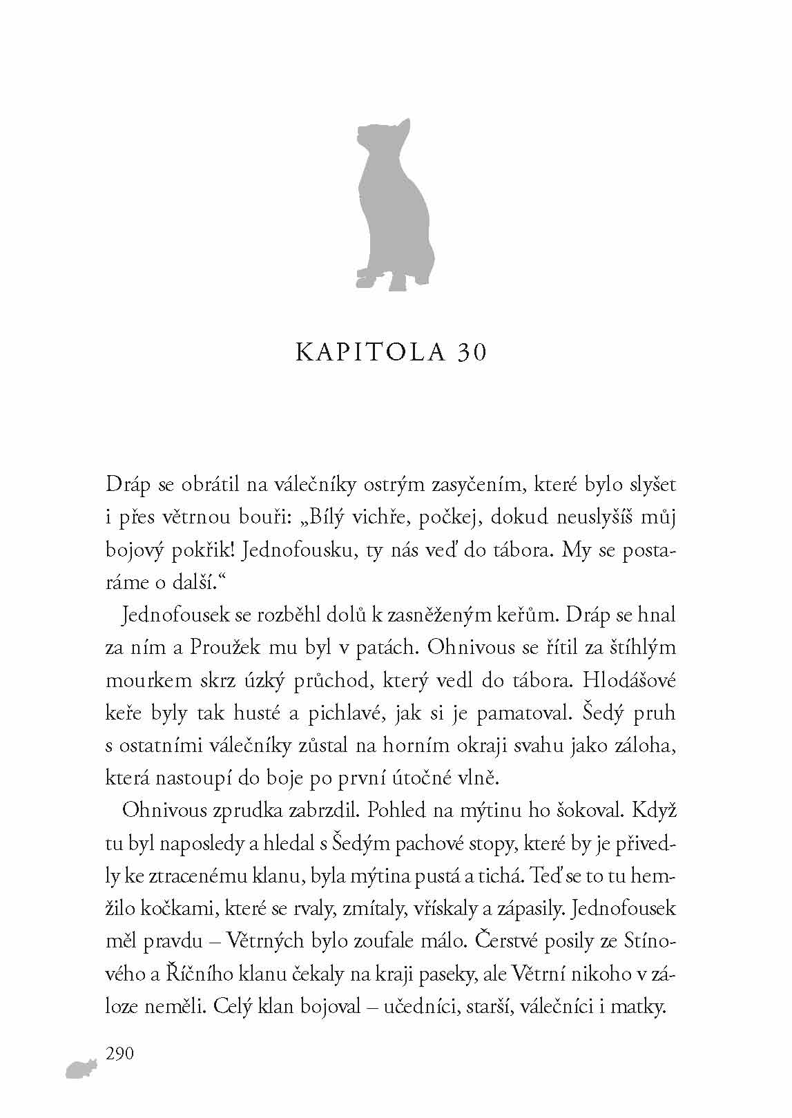 Kočičí válečníci (2) - Oheň a led