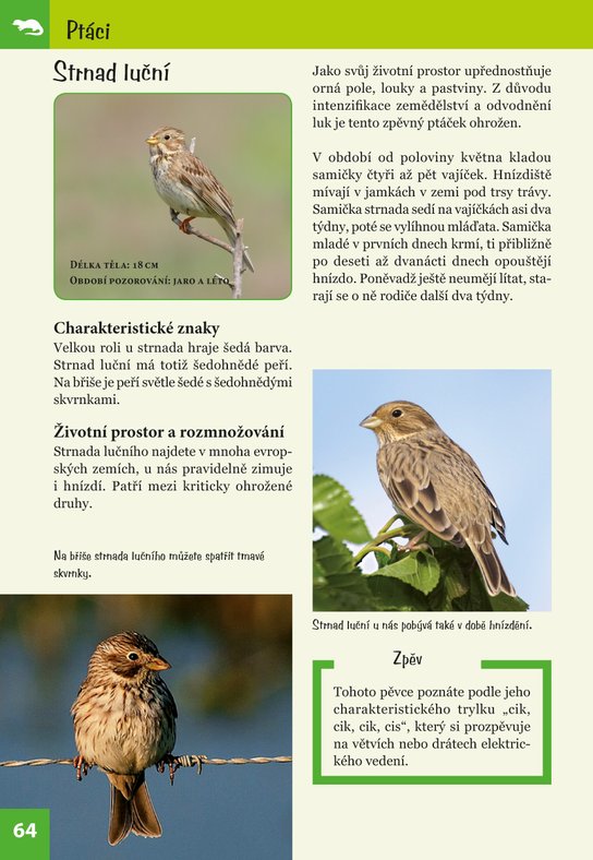 Ohrožené druhy zvířat