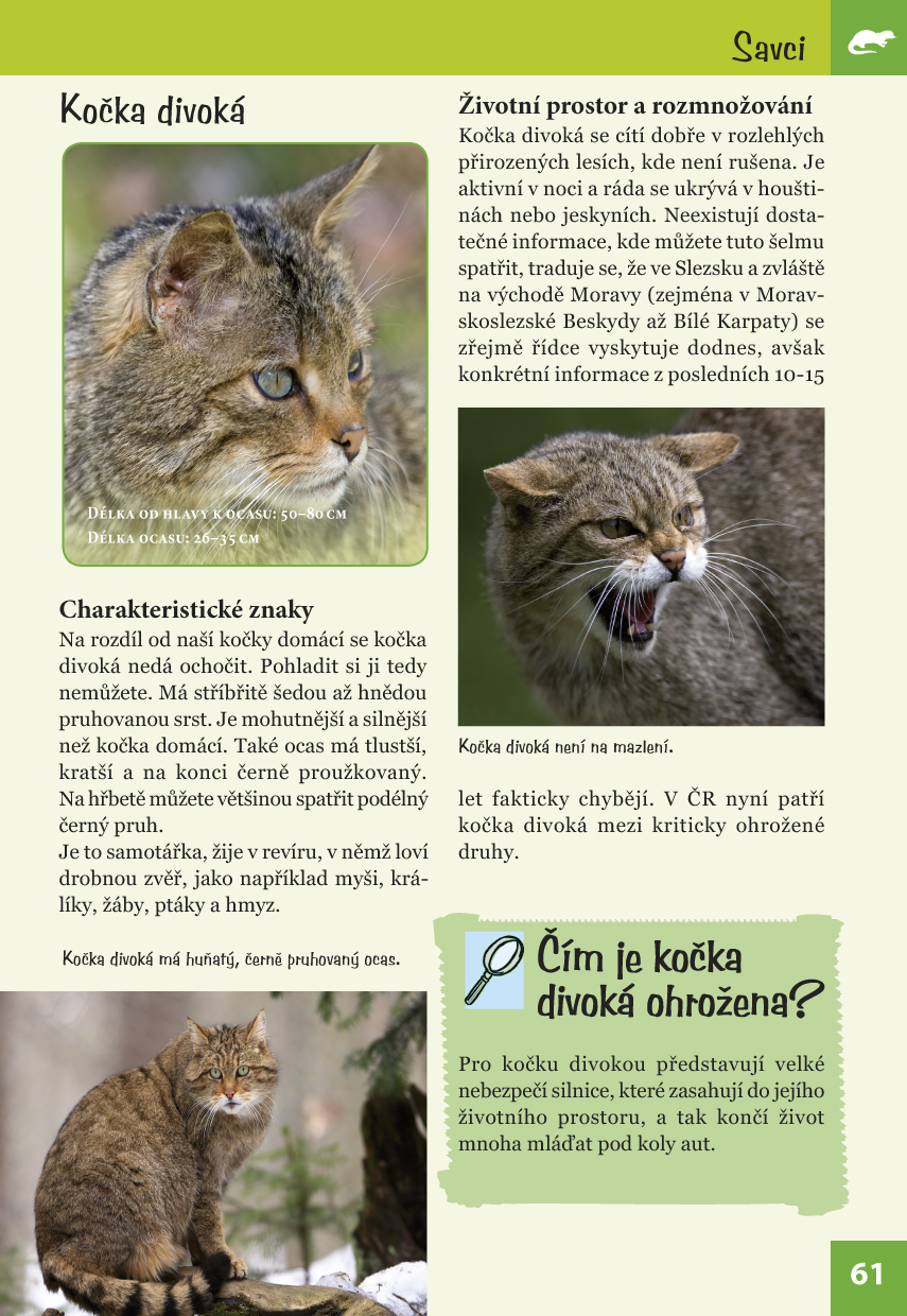 Ohrožené druhy zvířat