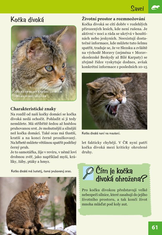 Ohrožené druhy zvířat