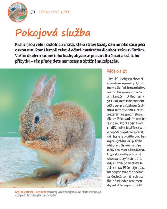 Moji zakrslí ušáci