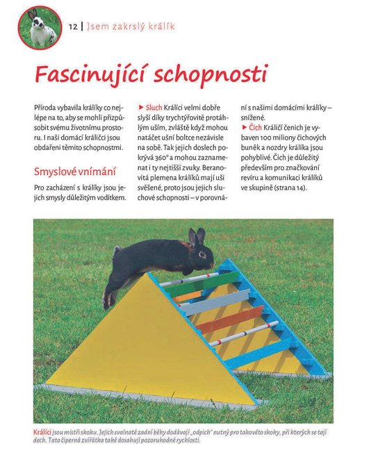 Moji zakrslí ušáci