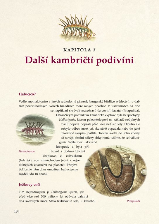 Pravěká monstra – Život v prvohorách