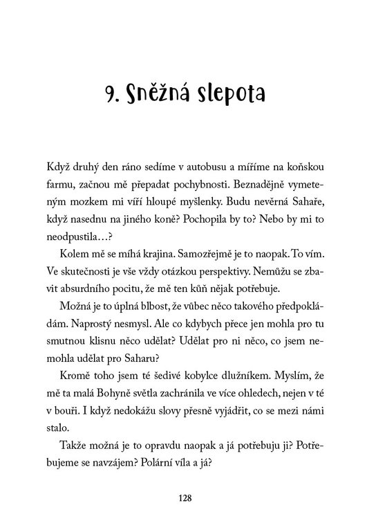 Polární záře - Ostrov divokých koní