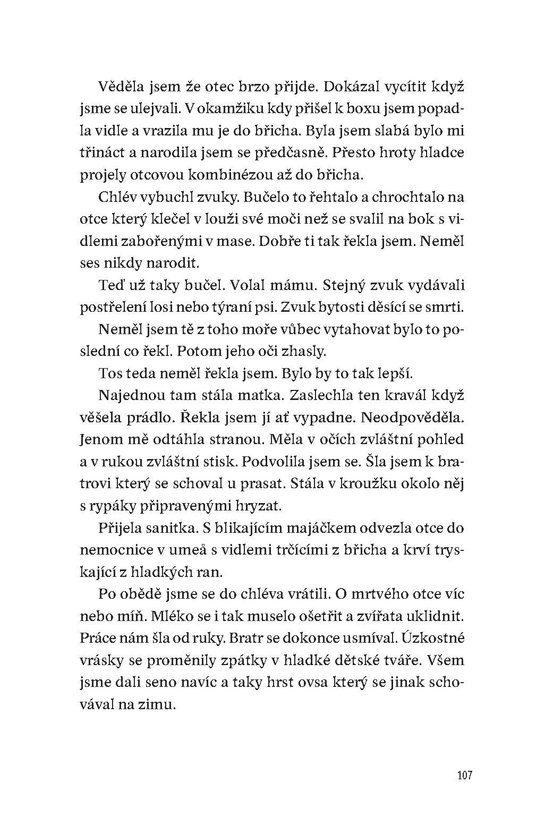 Můj bratr