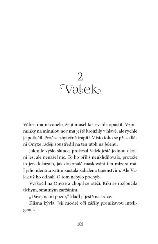 Studie stínů