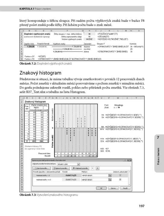 Microsoft Excel 2007/2010