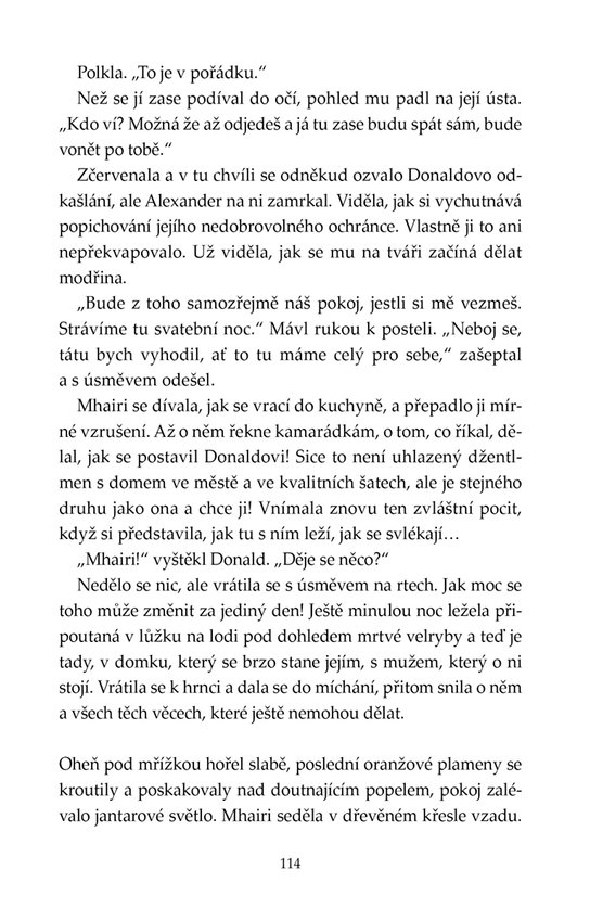 Zimní bouře