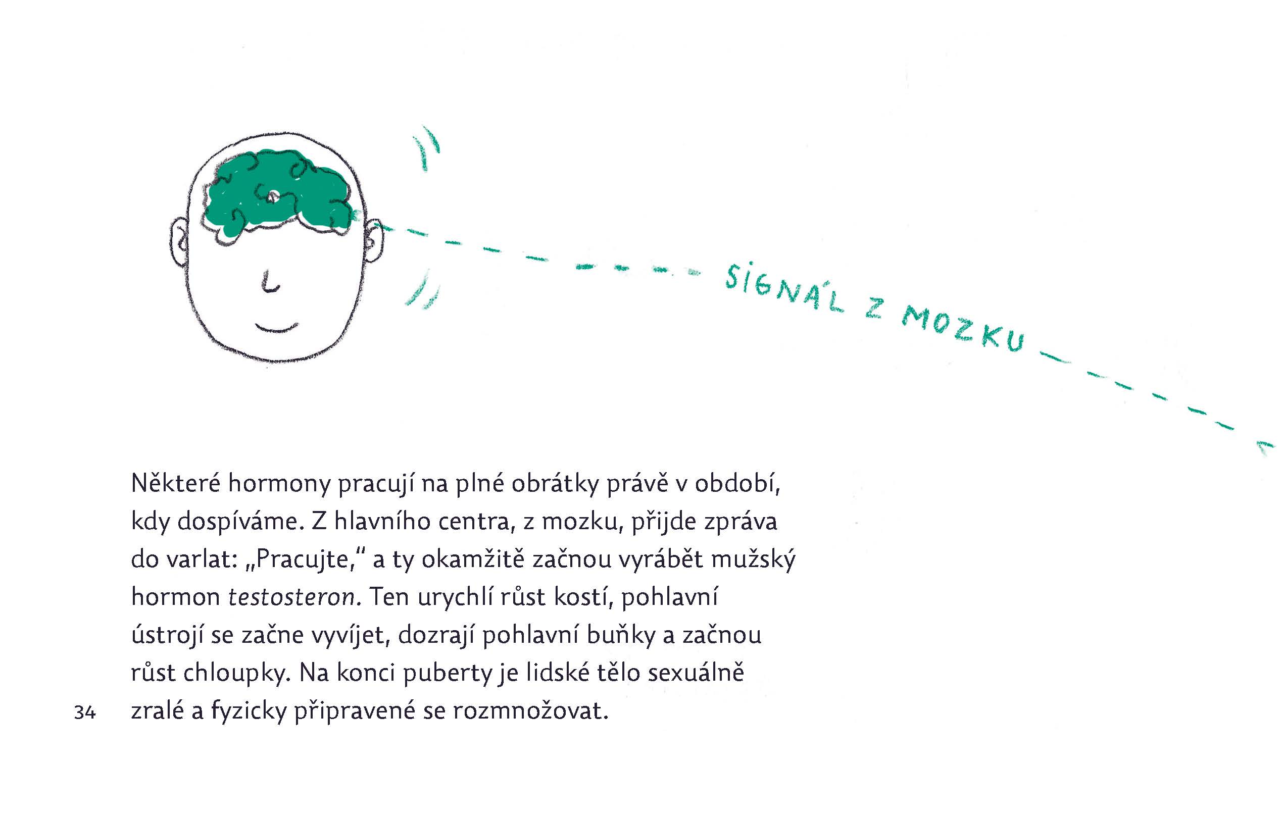Pohlavně s rozumem