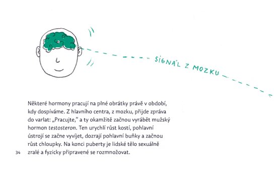 Pohlavně s rozumem