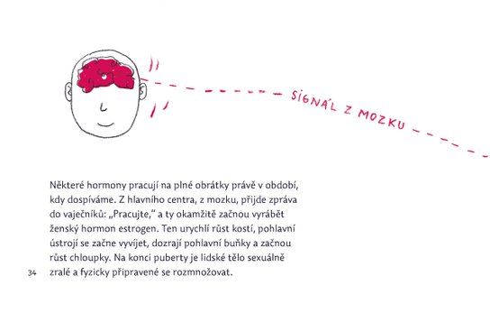 Pohlavně s rozumem