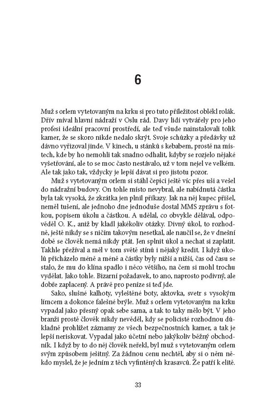 V lese visí anděl (brož.)
