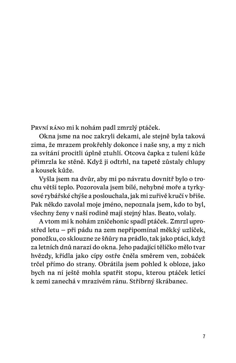 Průsvitné srdce