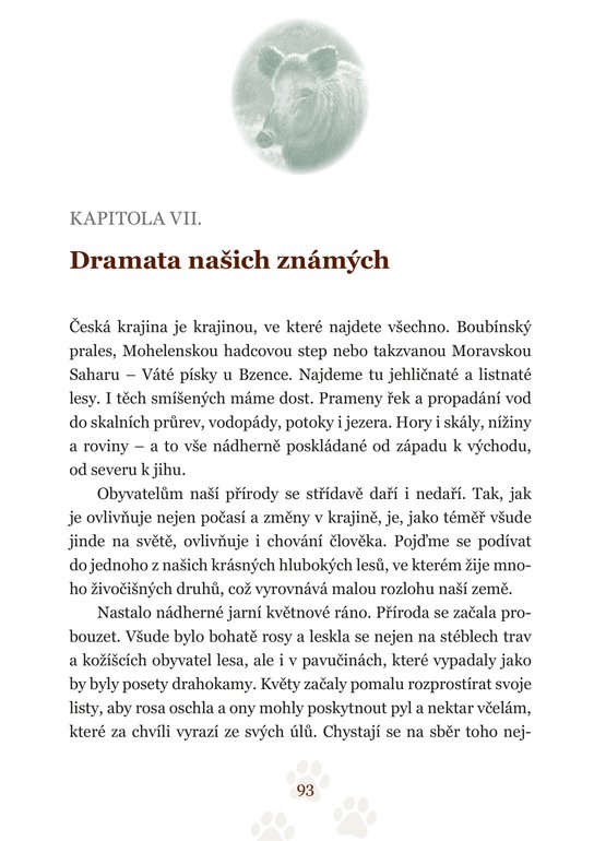 Pohledem divokých zvířat