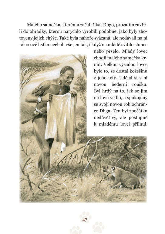 Pohledem divokých zvířat