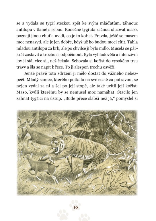 Pohledem divokých zvířat