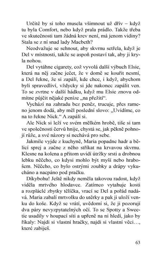 Očista
