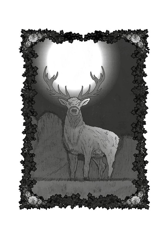 Země růží