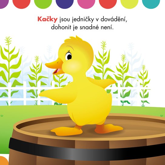 Disney - Zvířata