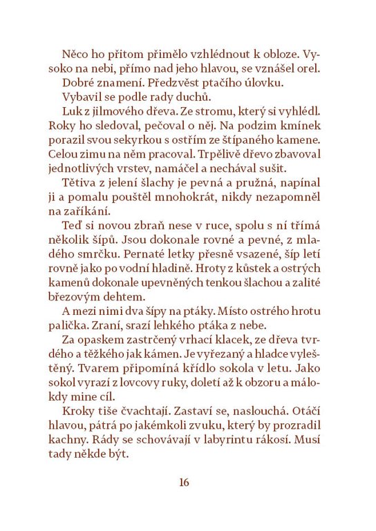 Labuť a lovec