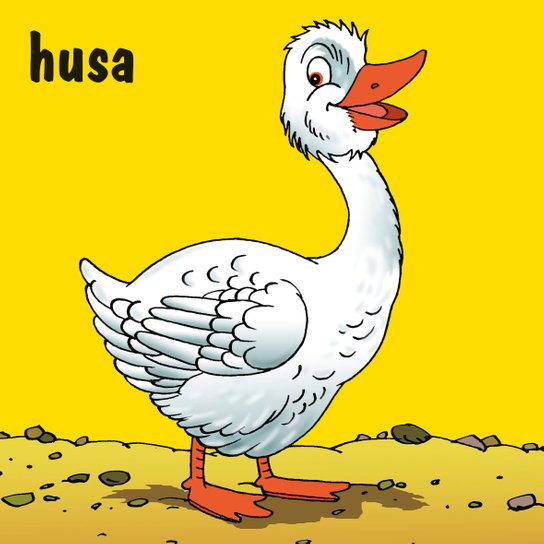 Zvířátka na dvorku