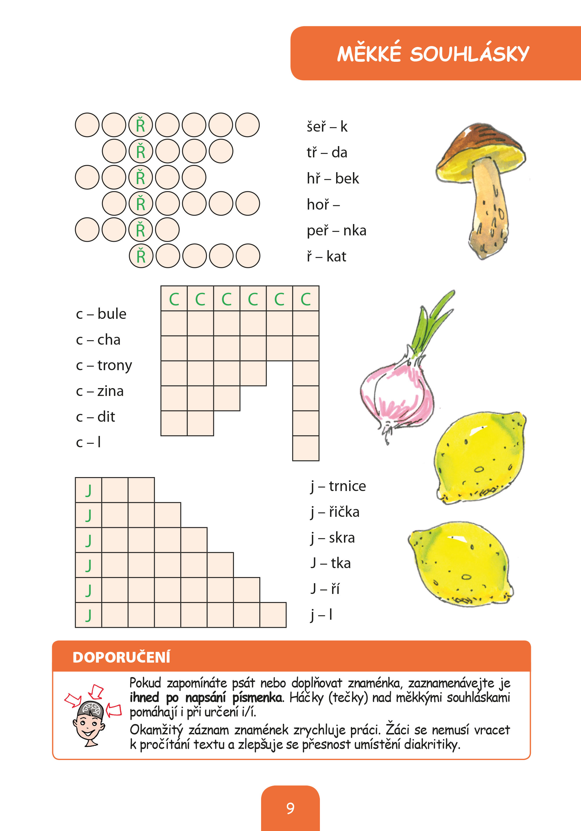 Procvičujeme i/y