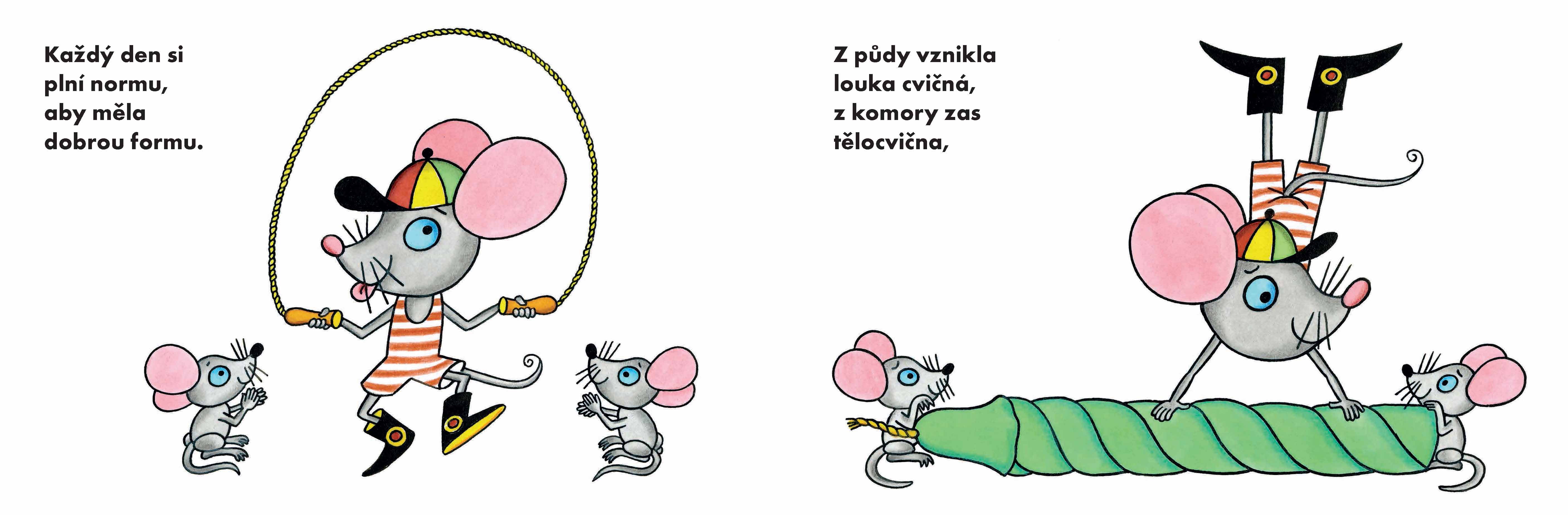 Moderní myš