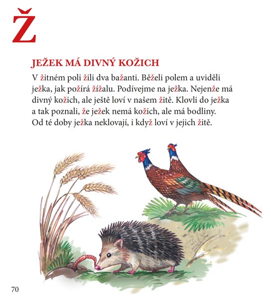 Povídačky naší Kačky
