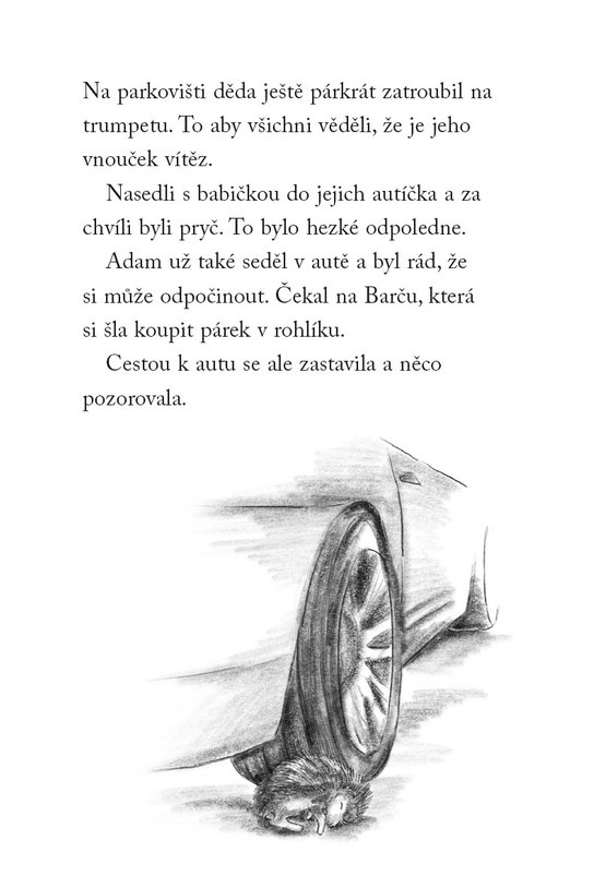 Nové příběhy se šťastným koncem – Popletený ježeček