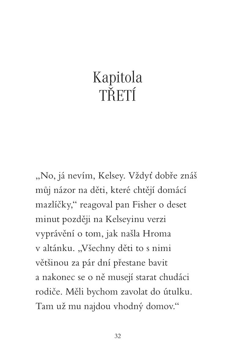 Kouzelné štěňátko - Školní slavnost 