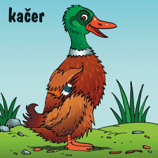 Zvířátka na dvorku
